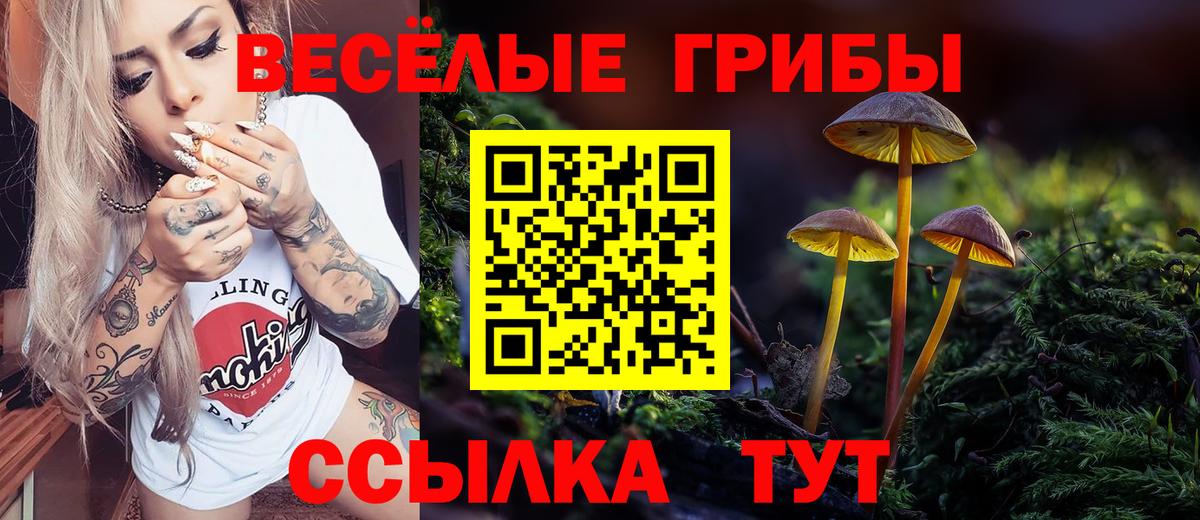 Галлюциногенные грибы прущие грибы Курск