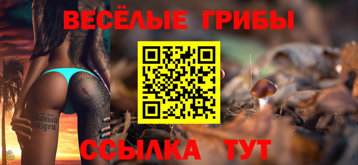 где купить   Галлюциногенные грибы GOLDEN TEACHER  Псилоцибиновые грибы MAGIC MUSHROOMS  Вход с VPN  Курск 
