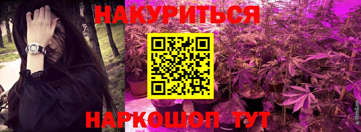 МАРИХУАНА план Курск